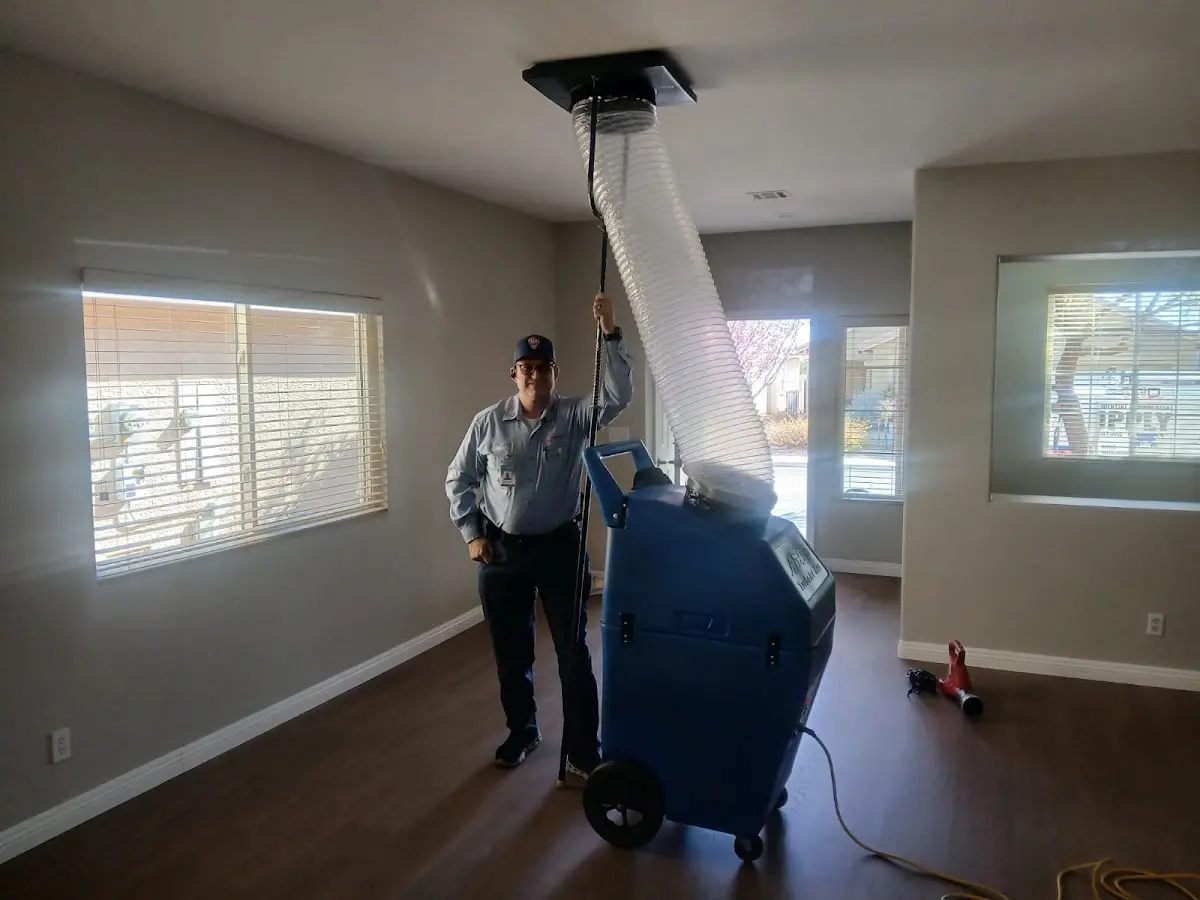 Professional Dryer Vent Cleaning work inside a Evans home